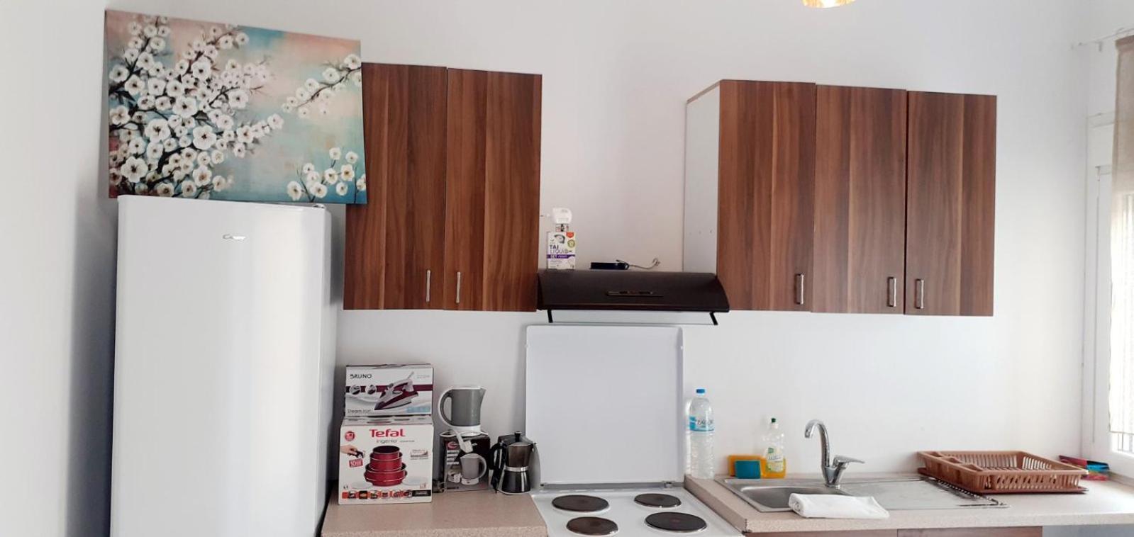 Ammoudaries Appartment Lakkíon エクステリア 写真